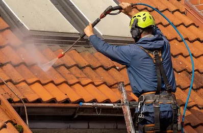 Démoussage et hydrofuge de toiture à Ferrières